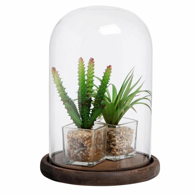 Clear Glass Cloche Bell Jar Display Case - MyGift