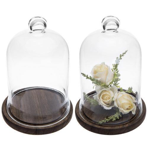 Clear Glass Cloche Display with Brown Wood Base, Set of 2 - MyGift