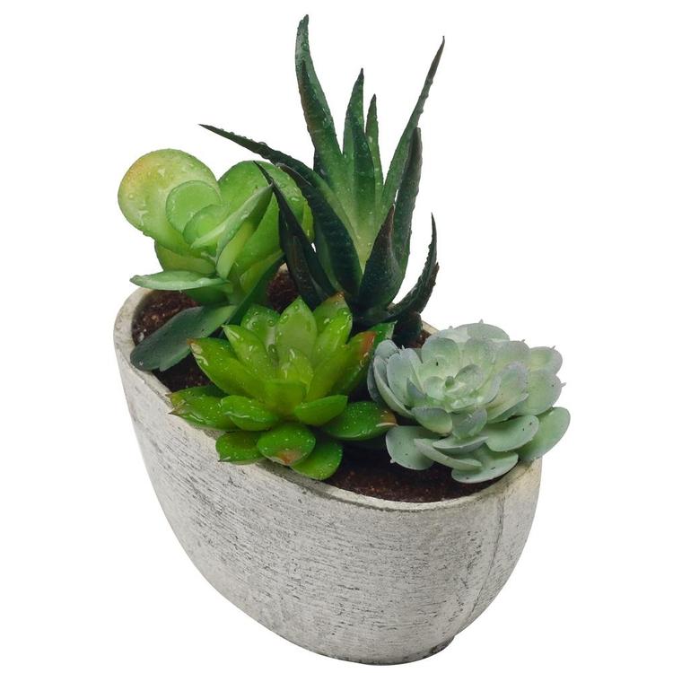 Decorative Artificial Succulent Plant Arrangement with Oval Gray Pot - MyGift Enterprise LLC