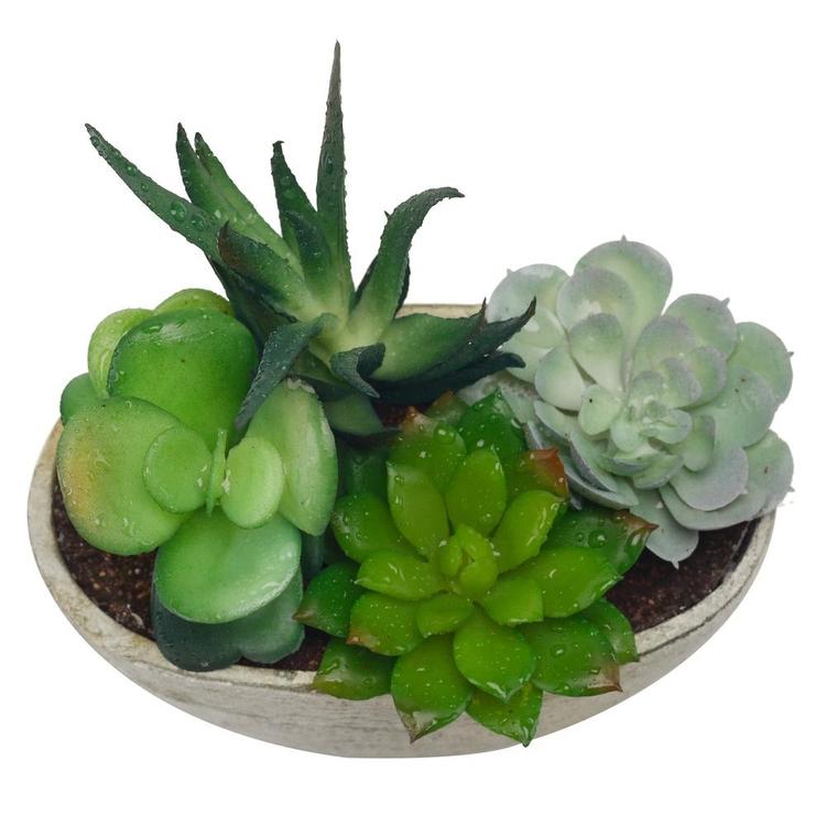 Decorative Artificial Succulent Plant Arrangement with Oval Gray Pot - MyGift Enterprise LLC