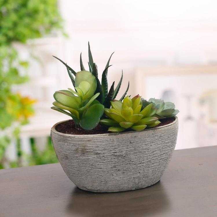 Decorative Artificial Succulent Plant Arrangement with Oval Gray Pot - MyGift Enterprise LLC
