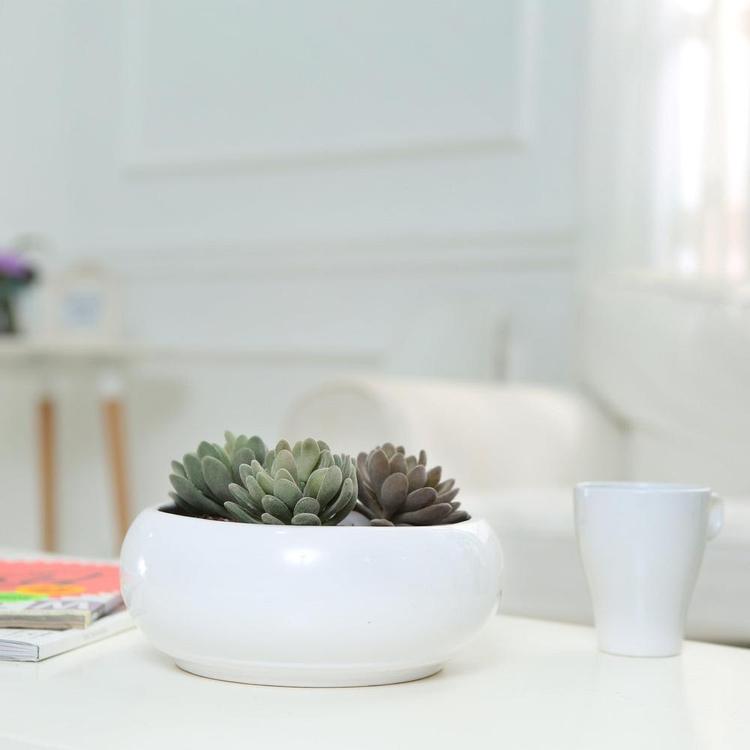 8.75 Inch Decorative Round Ceramic Planter, White - MyGift Enterprise LLC
