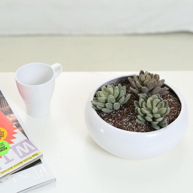 8.75 Inch Decorative Round Ceramic Planter, White - MyGift Enterprise LLC