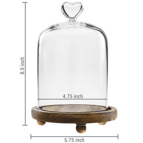 Glass Dome with Heart Handle & Brown Wooden Base - MyGift