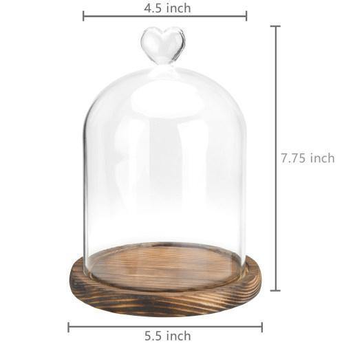 Glass Dome with Heart Handle & Dark Brown Wooden Base - MyGift