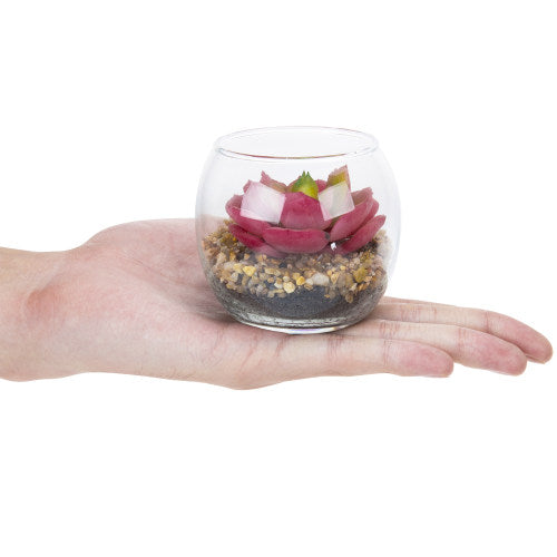 Mini Artificial Succulents in Modern Clear Round Glass Vases, Set of 4-MyGift