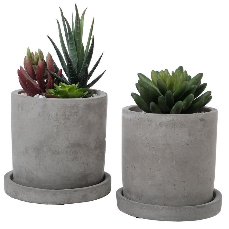 are cement pots good for succulents Shop Gray Cement Planter Pots with Saucers, Set of 2 – MyGift