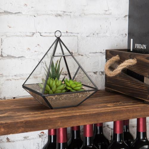 Hanging Glass Pyramid Terrarium Case