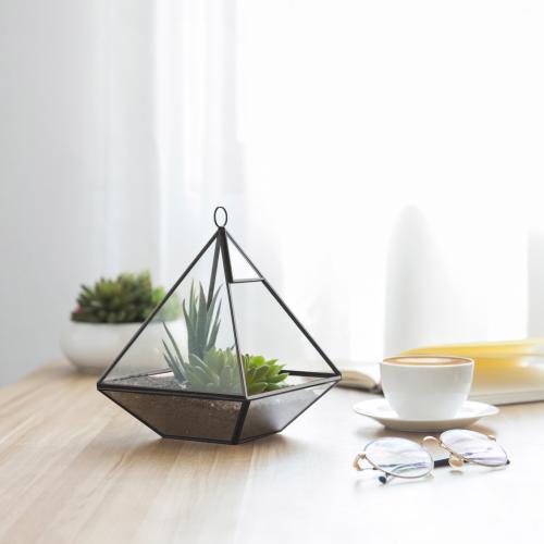 Hanging Glass Pyramid Terrarium Case