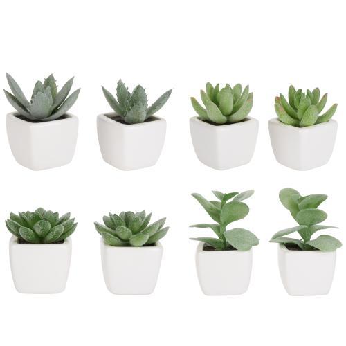 Mini Faux Succulent Plants, Set of 8-MyGift
