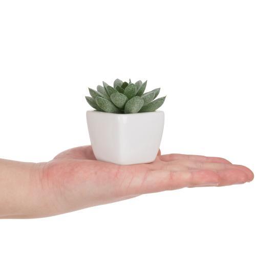Mini Faux Succulent Plants, Set of 8-MyGift