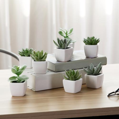 Mini Faux Succulent Plants, Set of 8-MyGift