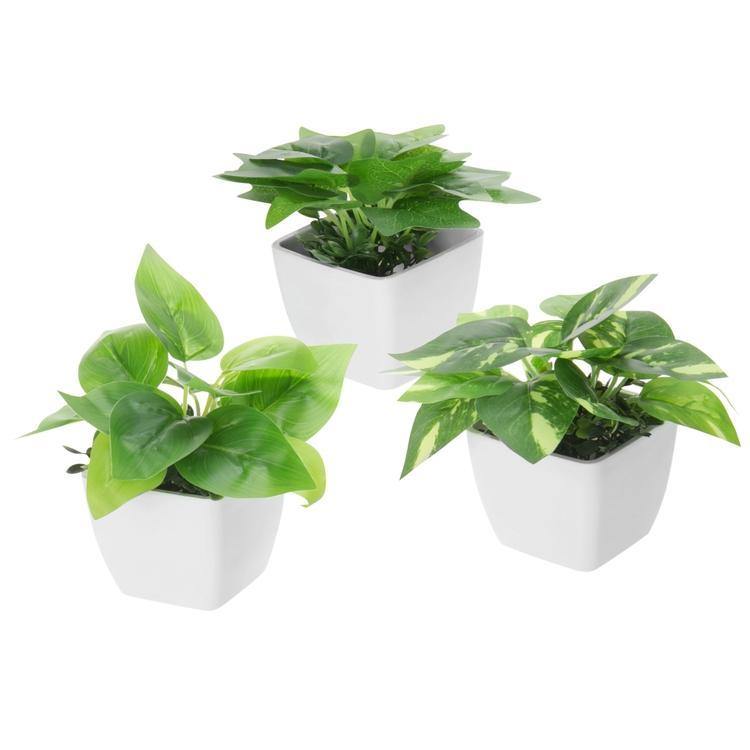 Mini Square Potted Plants Set of 3 - MyGift