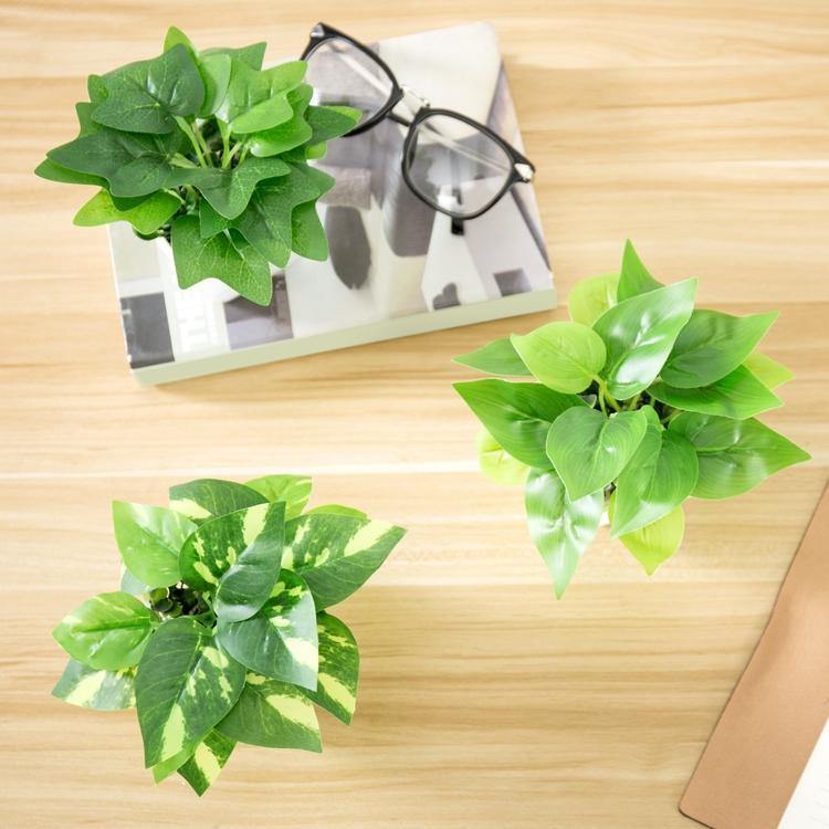 Mini Square Potted Plants Set of 3 - MyGift