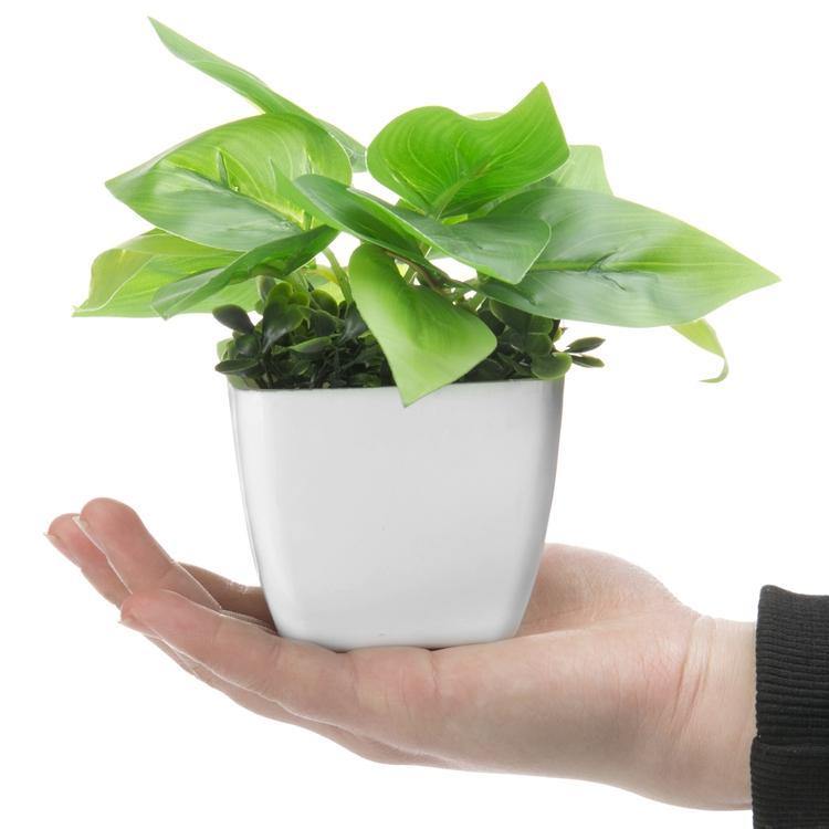 Mini Square Potted Plants Set of 3 - MyGift