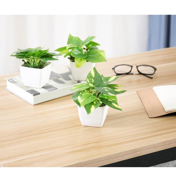 Mini Square Potted Plants Set of 3 - MyGift
