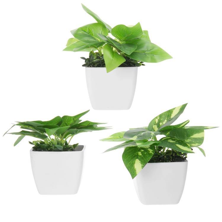 Mini Square Potted Plants Set of 3 - MyGift
