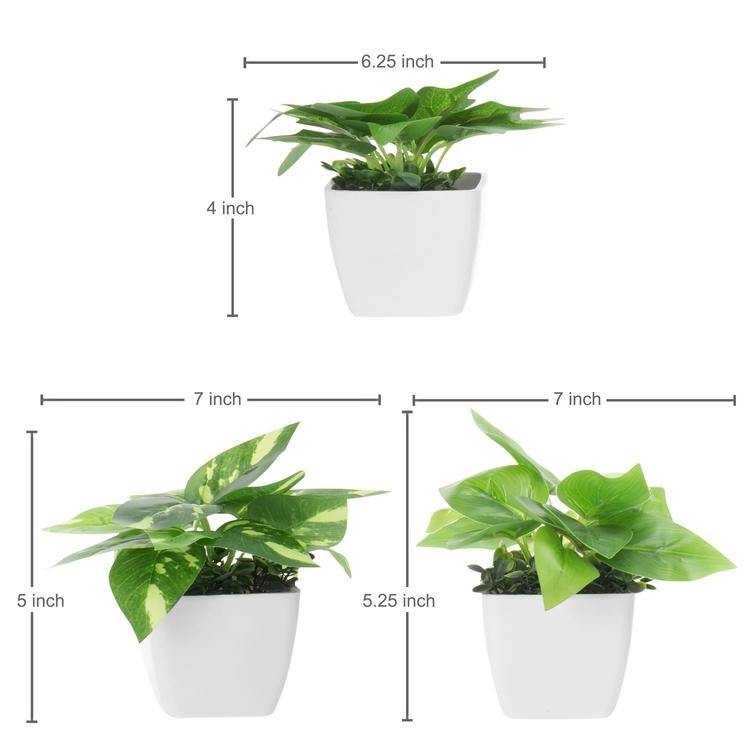 Mini Square Potted Plants Set of 3 - MyGift