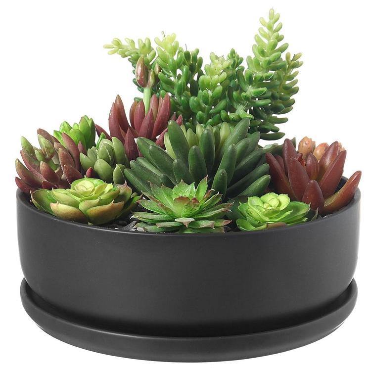 Modern Round Black Ceramic Succulent Planter with Saucer - MyGift