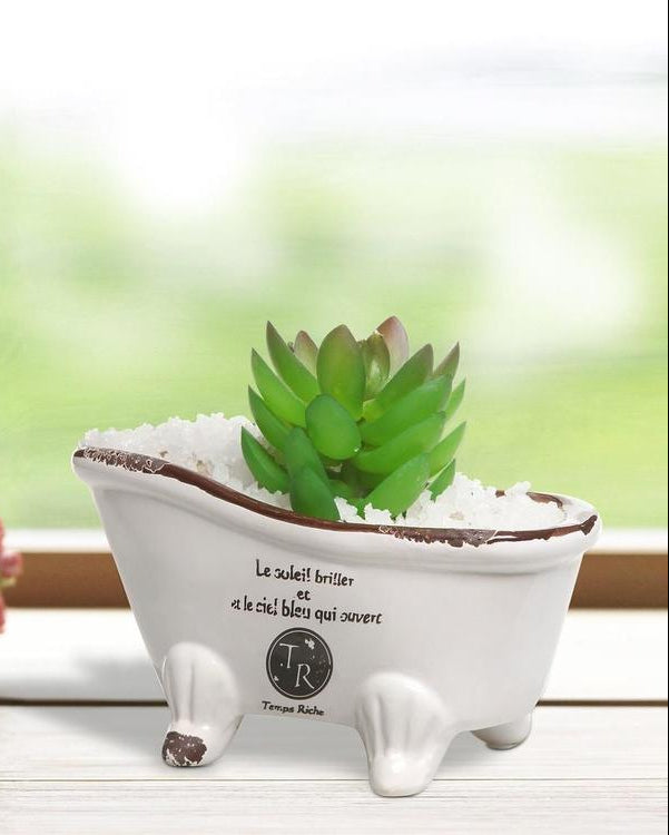 Porcelain French Country Style Claw Foot Bathtub Flower Pot with succulent