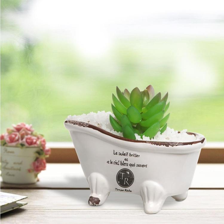 Porcelain French Country Style Claw Foot Bathtub Flower Pot with succulent