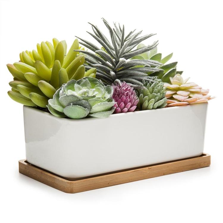 can you plant succulents in ceramic pots Potted Artificial Succulents in Rectangular Ceramic Plant Pot with Bamboo Tray