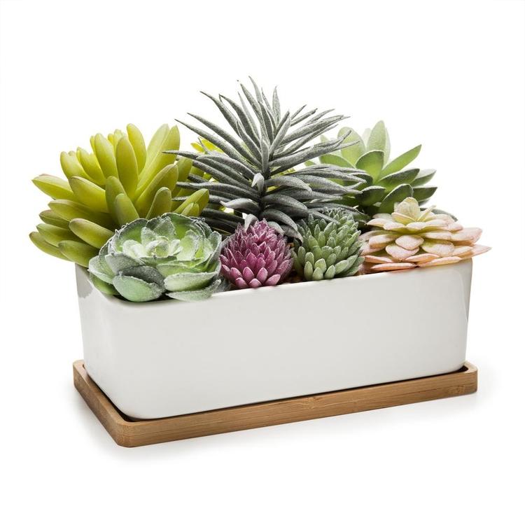 fake succulents potted Potted Artificial Succulents in Rectangular Ceramic Plant Pot with Bamboo Tray