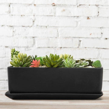  Yaomiao Rectangle Planter Box 32 Inch Window Planter Succulent  Trough Rectangular Planter for Indoor Plants Succulent Box Stainless Steel  Window Sill Planters Indoor Planters for Table Sill Indoor : Patio