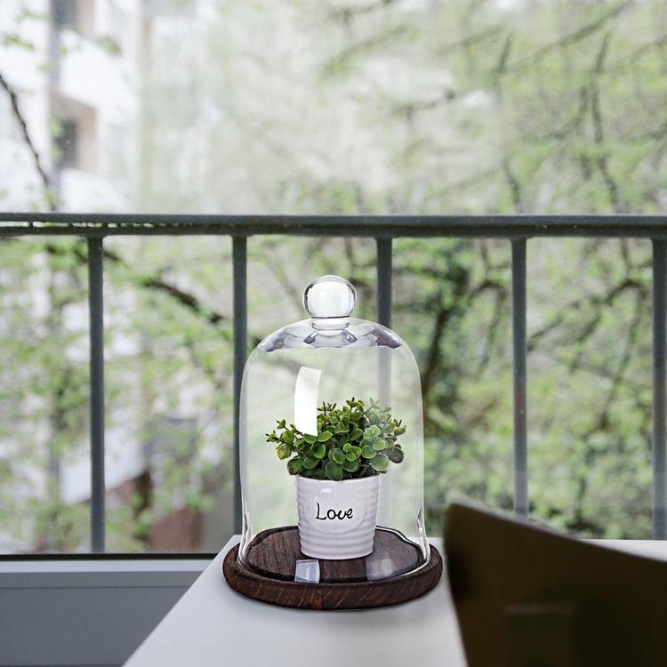 Clear Glass Jar / Cloche Dome Display Centerpiece with Brown Wood Base - MyGift Enterprise LLC