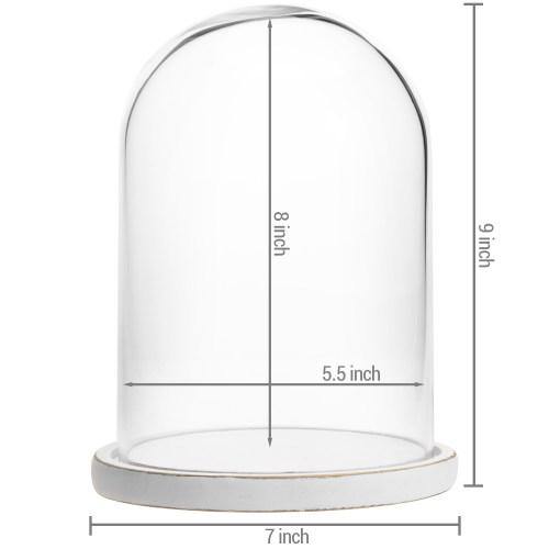 Clear Glass Cloche with White Wood Base - MyGift