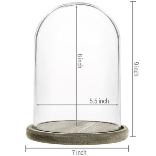Clear Glass Cloche with Gray Wood Base - MyGift