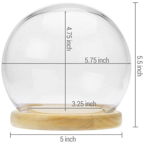 Glass Terrarium & Globe Cloche with Natural Beige Wood Base - MyGift