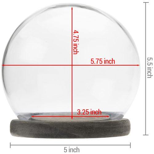 Glass Terrarium & Globe Cloche with Gray Wood Base - MyGift