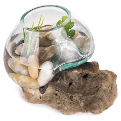Small Natural Driftwood & Clear Molten Glass Bowl - MyGift