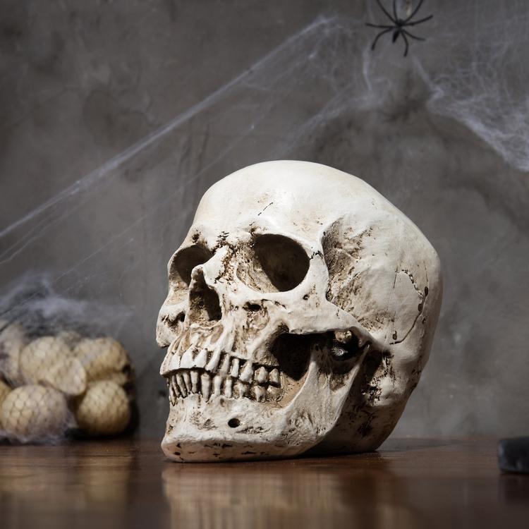 Resin Skull Mold Lifesize 1:1 Medical People Skull Model Halloween Home  Skull Statues Decoration Decorative Sculptures Crafts