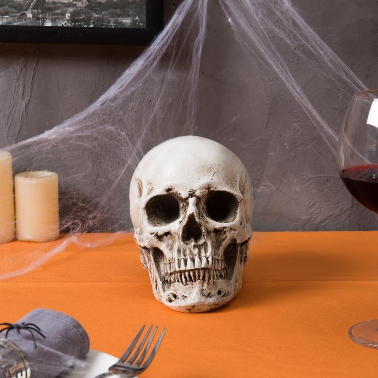 Spooky Decorative Realistic Human Skull