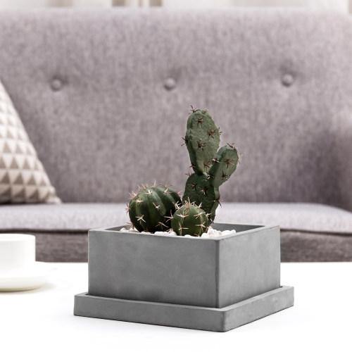 Square Cement Succulent Planter Pot with Removable Saucer - MyGift