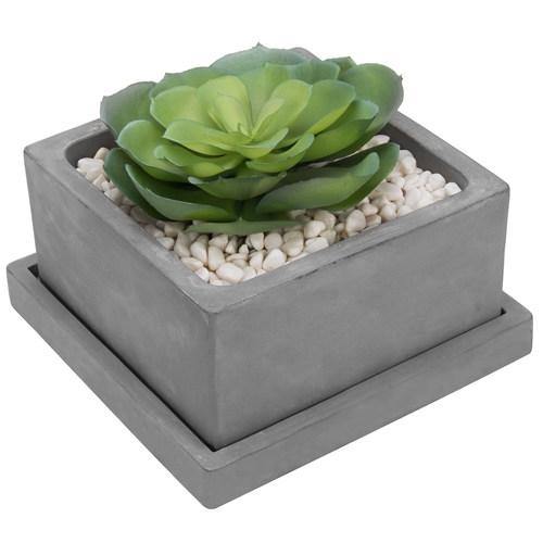 Square Cement Succulent Planter Pot with Removable Saucer - MyGift