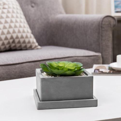 Square Cement Succulent Planter Pot with Removable Saucer - MyGift