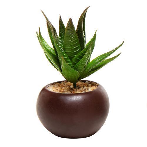 Artificial Mini Succulent Plants in Brown Planter, Set of 3 - MyGift