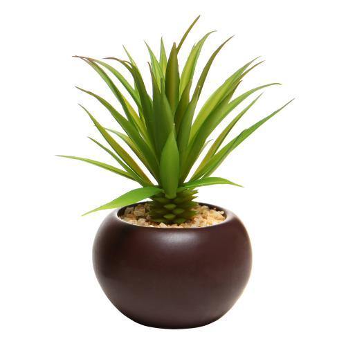 cb2 succulent planter Artificial Mini Succulent Plants in Brown Planter, Set of 3