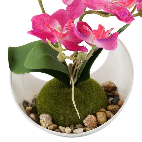 Modern Artificial Orchids w/Sleek Curved Planter, Pink-MyGift