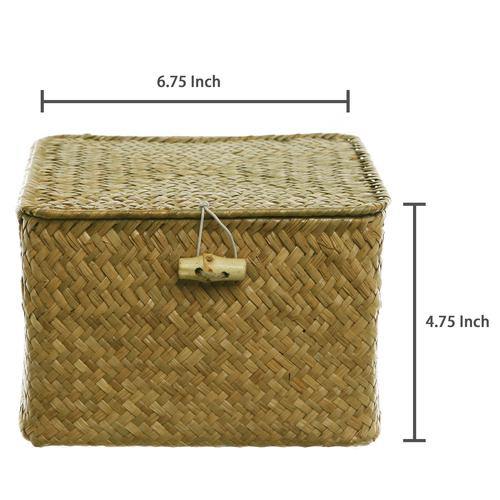 Hand Woven Rattan Storage Box w/ Fabric Liner - MyGift