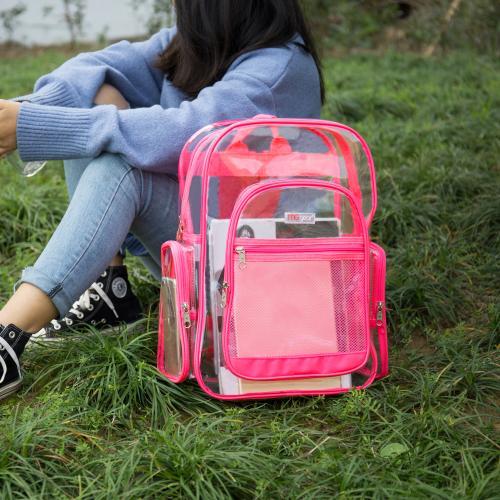 Transparent PVC Backpack with Purple Trim