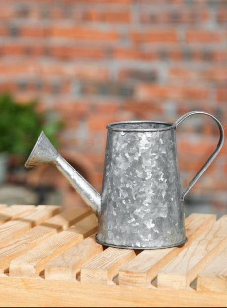 Vintage Galvanized Metal Watering Can - MyGift