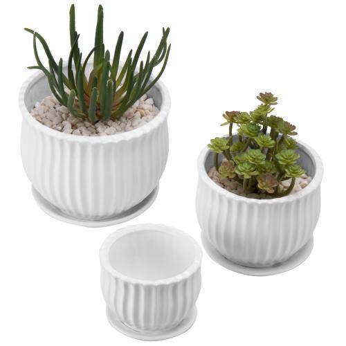White Ceramic Pots with Saucers, Set of 3 - MyGift
