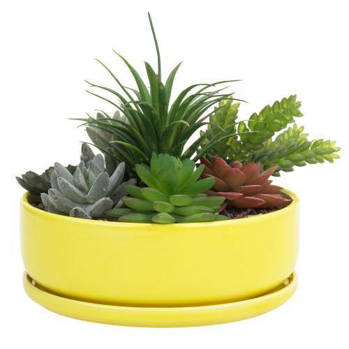 Yellow Ceramic Succulent Planter Pot with Removable Saucer - MyGift