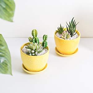 Yellow Sunburst Design Ceramic Flower Planter Pots with Saucers, Set of 2 - MyGift Enterprise LLC