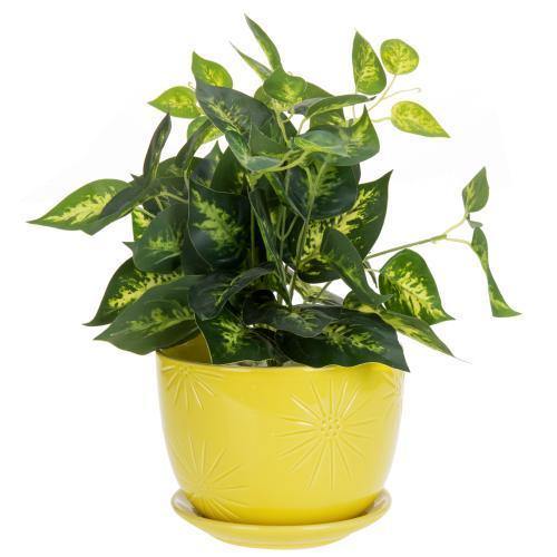 Yellow Sunburst Ceramic Pot with Saucer - MyGift